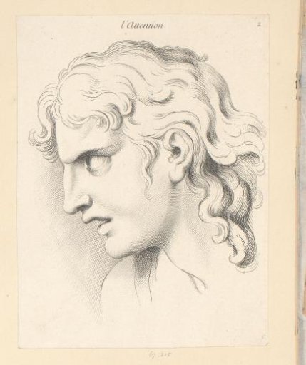 Man with an Attentive or Concentrated Facial Expression