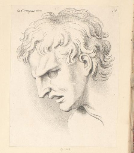 Expression of pity