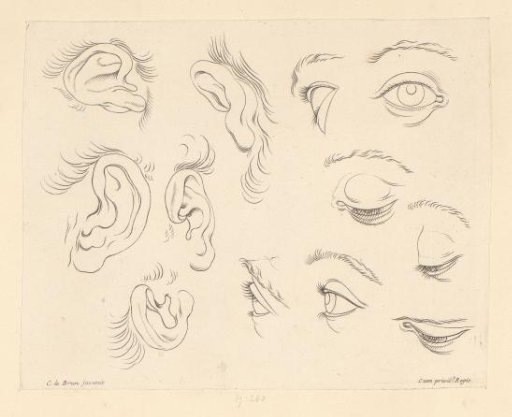 Seven Eyes and Five Ears