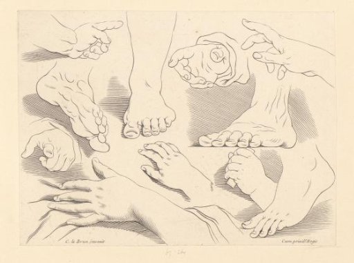 Four Feet and Seven Hands