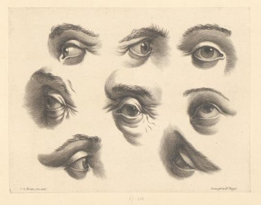 Eight Eyes