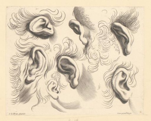 Seven Studies of Ears