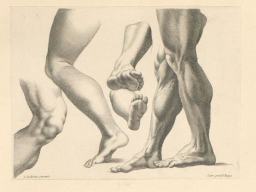 Studies of Legs and Feet