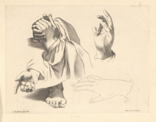 Studies of Hand Gestures and a Foot