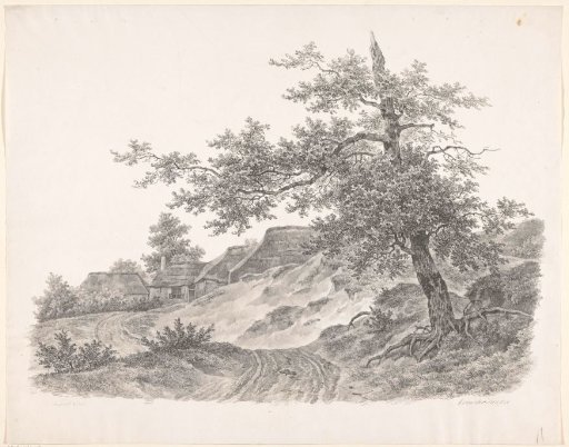 Country road and houses
