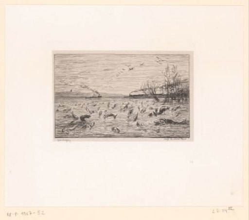 Leaping Fish in a Lake