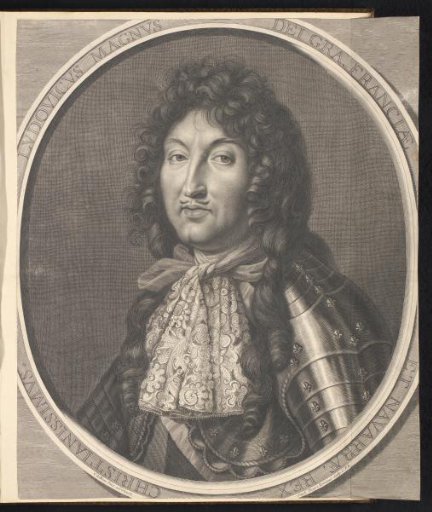 Portret van Lodewijk XIV