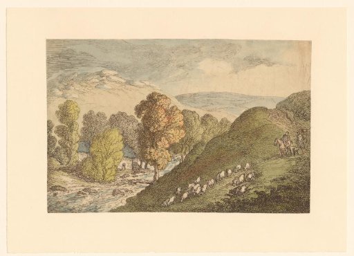 Hilly landscape with sheep