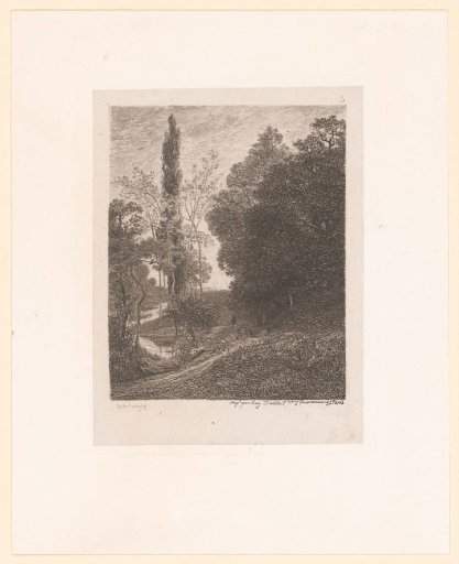 Landscape with a meandering river
