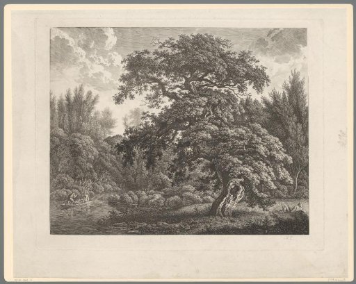 Wooded landscape with a resting mower