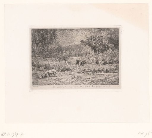 Yard with a feeding pig