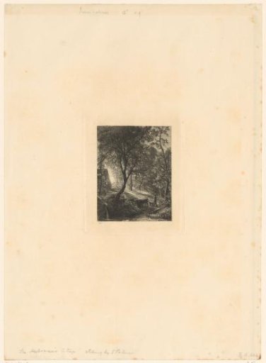 Shepherd with dog in a forest at sunset