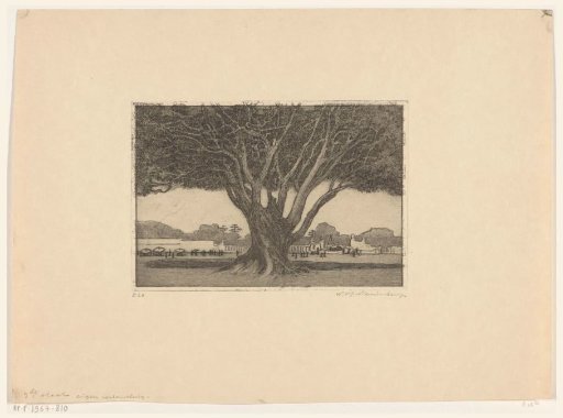 Banyan in the garden of the palace of the sultan in Jogyakarta