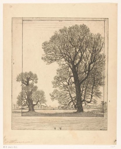 Two Silver Poplars near Santpoort