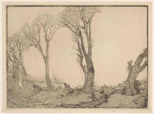 Sheets of Elms at the Zuidervest in Edam