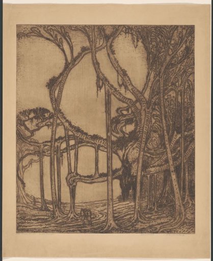 The old banyan tree