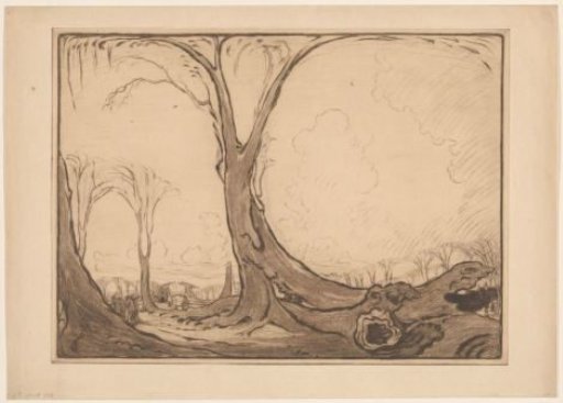 Felled Elms at the Zuidervest in Edam