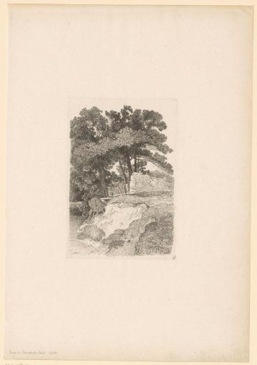 Trees along a Stream in Duncombe Park, Yorkshire