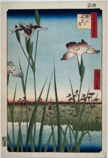 Irises in Horikiri