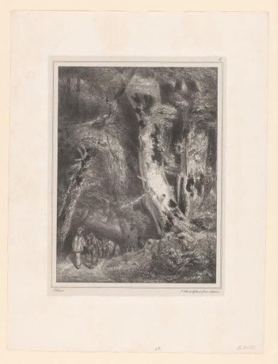 Smugglers with donkeys on a forest path