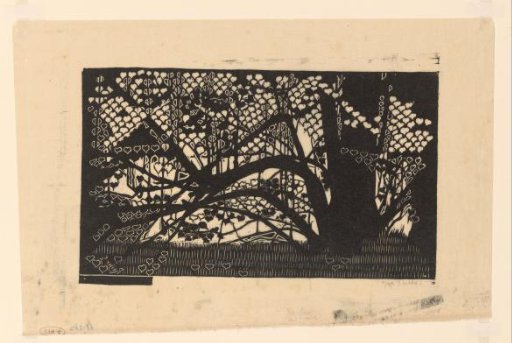 Tree with heart-shaped leaves