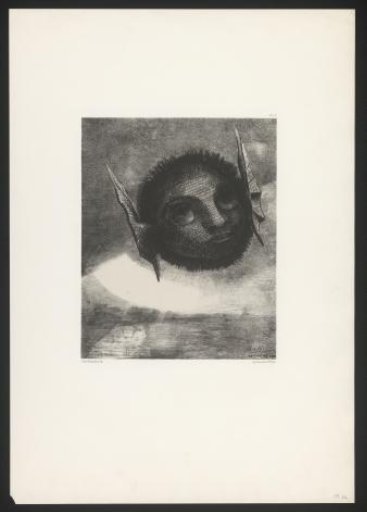 View with bat ears in the sky