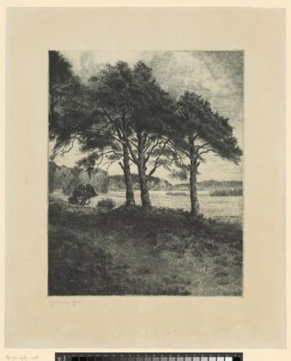 Landscape with trees