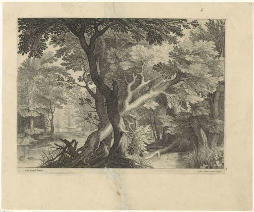 Wooded Landscape with a River