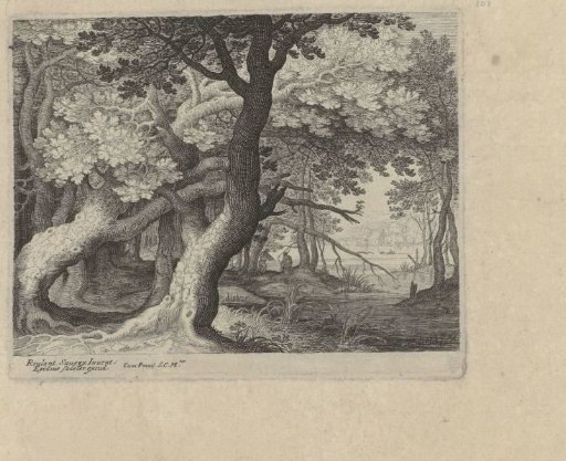 Woodland landscape with a small lake