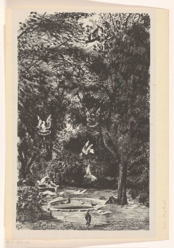 Birds by Pond in a Garden