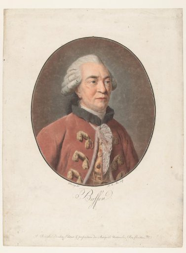 Portrait of Georges Louis Leclerc, Count of Buffon