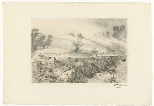 Heath landscape with pheasants