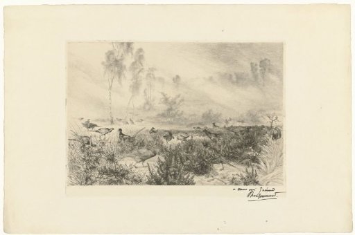 Heath landscape with pheasants