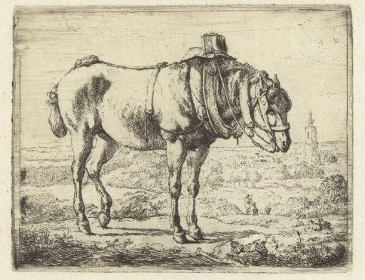 Horse Harnessed as a Workhorse
