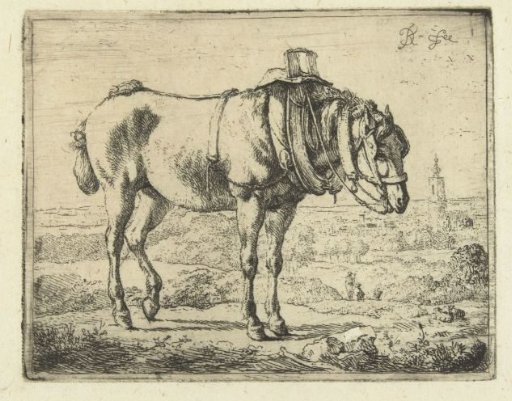 Horse Harnessed as a Workhorse