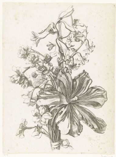 Bouquet with a Tulip, a Hyacinth, Brodiaea, and Narcissus