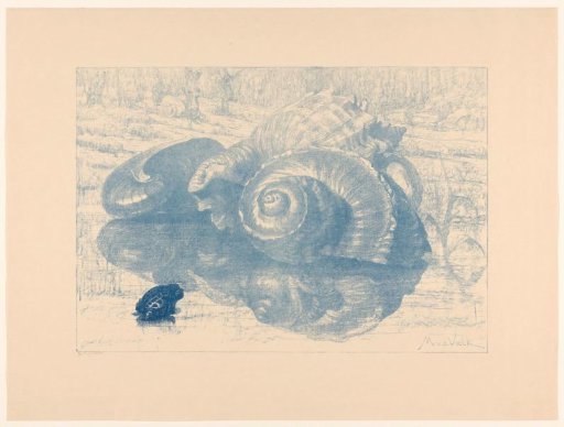 Snails and Frogs