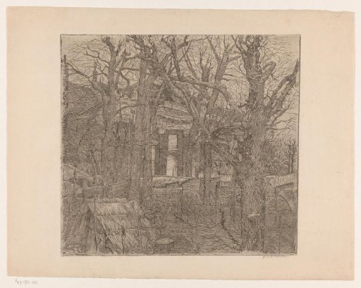 Trees around a house
