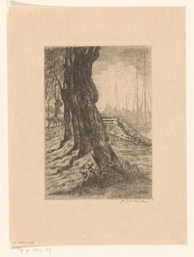 Tree trunks near a harbour
