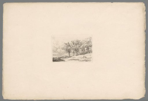 Landscape with trees