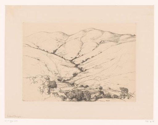 Wildcat Canyon
