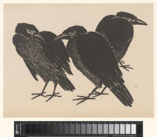 Three crows