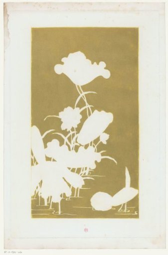 Water Lilies