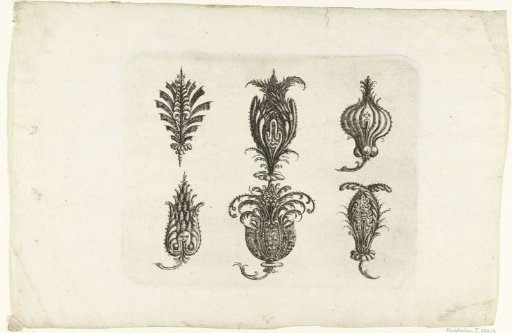 Six fantasy fruits