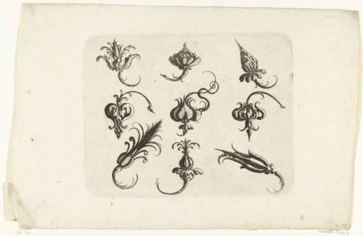 Nine fantasy flowers and fruits