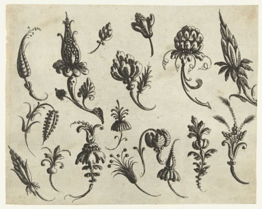 Seventeen flowers