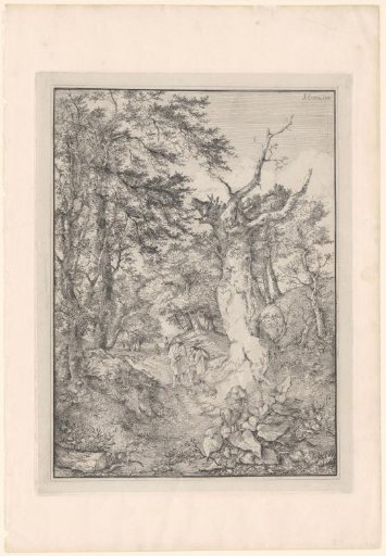 Two men with a dog on a forest path