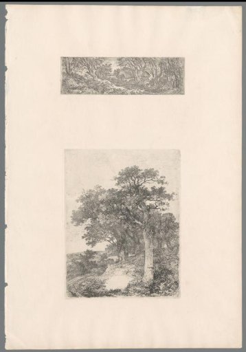 Trees along a path near Colney