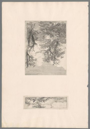 Landscape with wooden bridge and rider along a stream