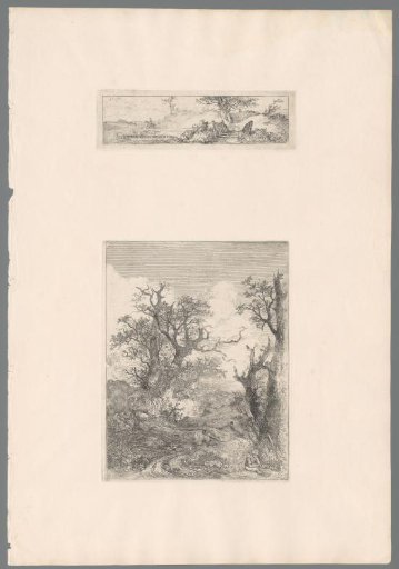 Boy sitting in front of a leafless tree, in the middle three tree trunks
